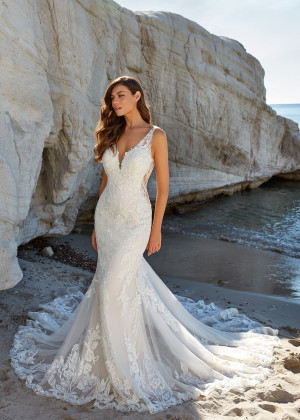 Sparkle Beaded Embroidery Lace Tulle Fit-n-flare Wedding Dress